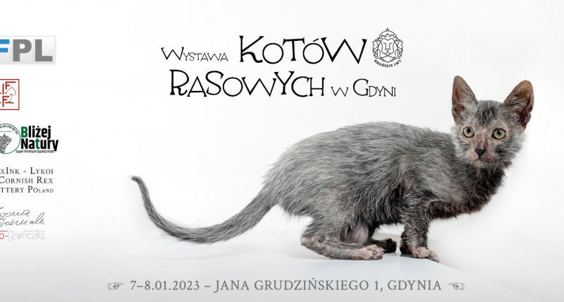 Wystawa Kotów Rasowych w Gdyni