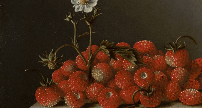 ZŁOTY WIEK. HOLENDERSKI "INSTAGRAM" .Slow Food – Martwe natury