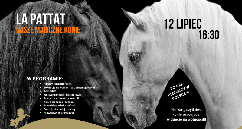 La Pattat Nasze Magiczne Konie!