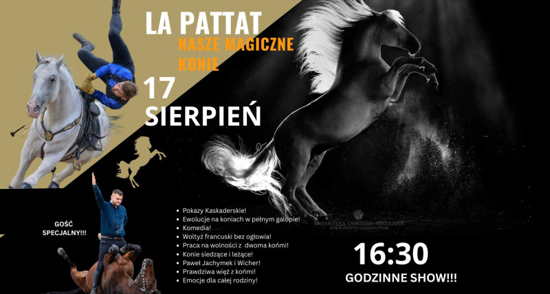 La Pattat Nasze Magiczne Konie!