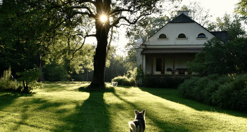 Kwintet Jazz | Niedziela 31.08 | 16:00 | Dwór Radonie