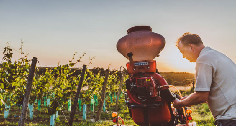 Winnica Kępa Wiślicka w Moti Wine Bar & Shop.