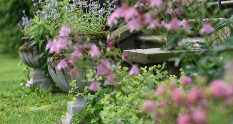 Koncert plenerowy | Muzyka Jazz | Magda Este | 07.09 | 16:00