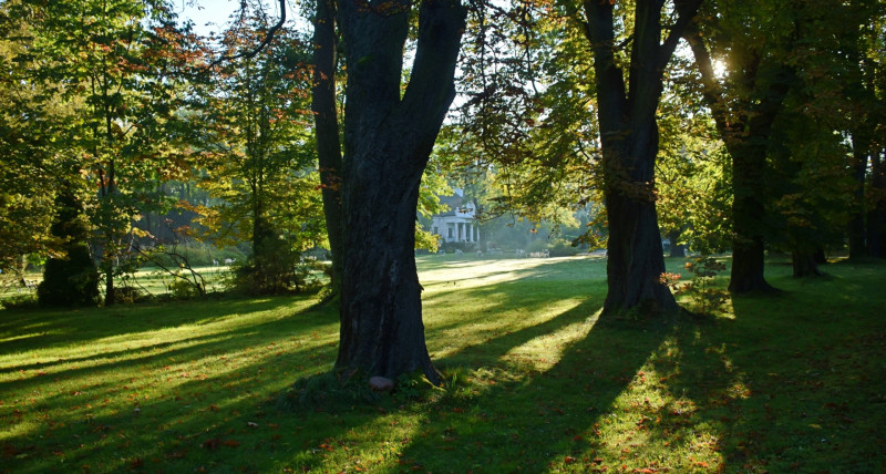 Koncert muzyki klasycznej | Skrzypce i pianino | 28.09 | 15:00