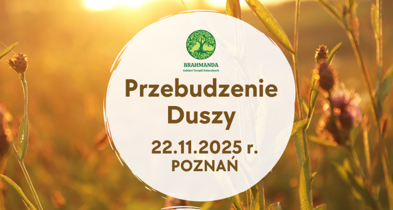 Przebudzenie Duszy warsztat w Poznaniu w dn.22.11.2025 r.