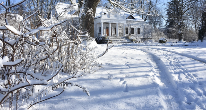 Pokaz charytatywny „Gwiazdy Dzieciom”