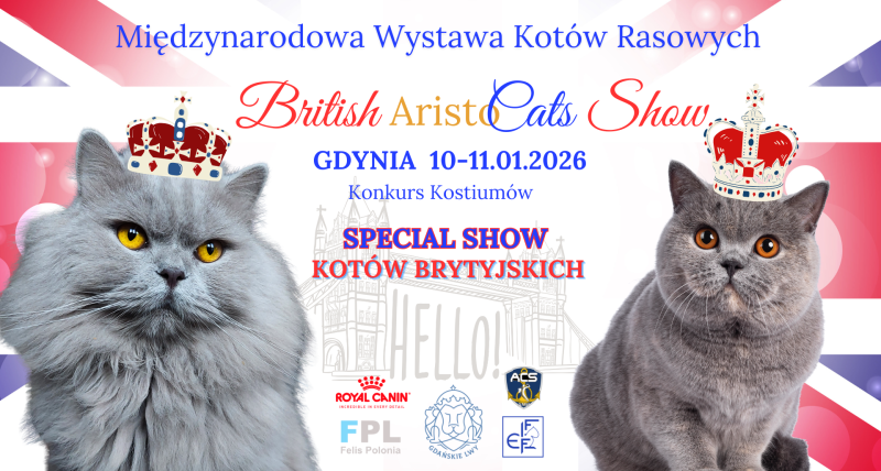 BRITISH ARISTOCATS SHOW - Międzynarodowa Wystawa Kotów Rasowych