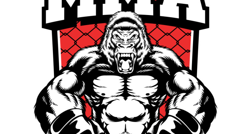 Warsztaty developerskie X100