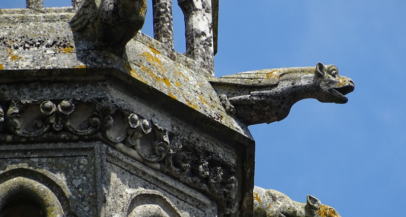 MAŁPIE FIGLE W SŁUŻBIE SACRUM