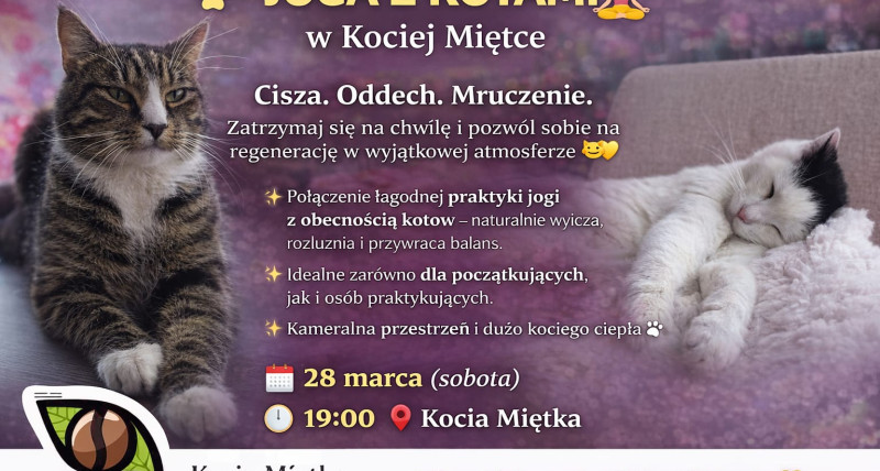 JOGA Z KOTAMI 🧘‍♀️ w Kociej Miętce