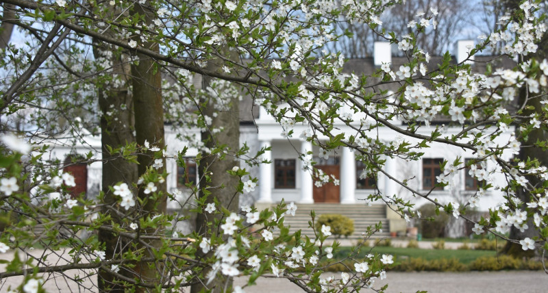 Koncert Muzyki Klasycznej | 19.04 | 15:00