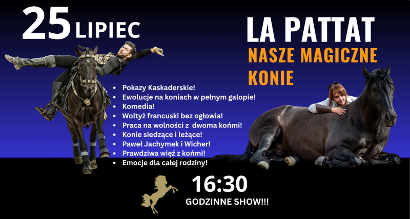 LA PATTAT NASZE MAGICZNE KONIE!!!