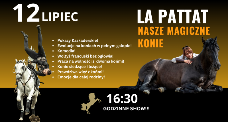 LA PATTAT NASZE MAGICZNE KONIE!!!