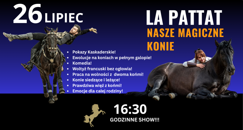 LA PATTAT NASZE MAGICZNE KONIE!!!