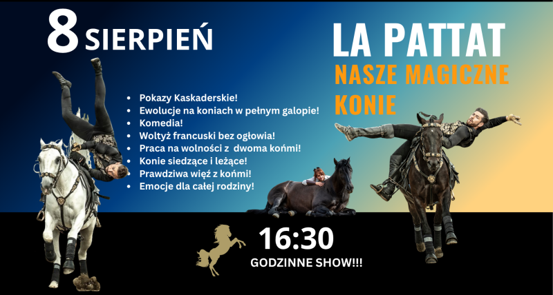 LA PATTAT NASZE MAGICZNE KONIE!!!