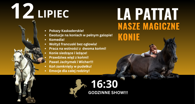 LA PATTAT NASZE MAGICZNE KONIE!!!