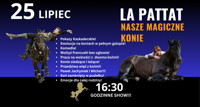LA PATTAT NASZE MAGICZNE KONIE!!!