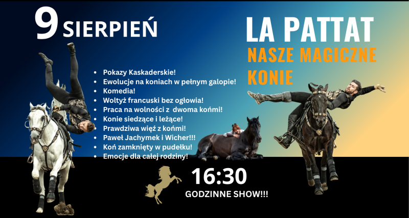 LA PATTAT NASZE MAGICZNE KONIE!!!