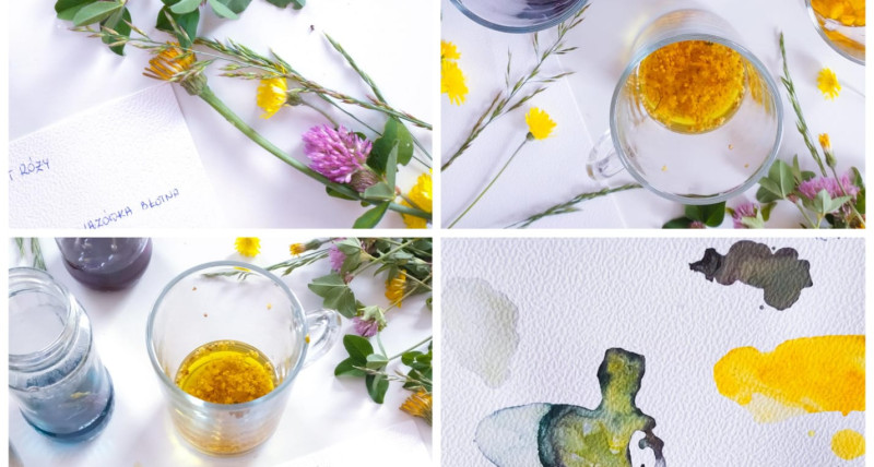 Warsztat z tworzenia tuszów z kwiatów„Flower ink” – edycja II