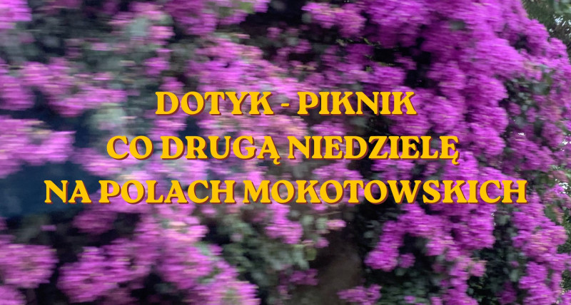 Dotyk-Piknik na Polach mokotowskich