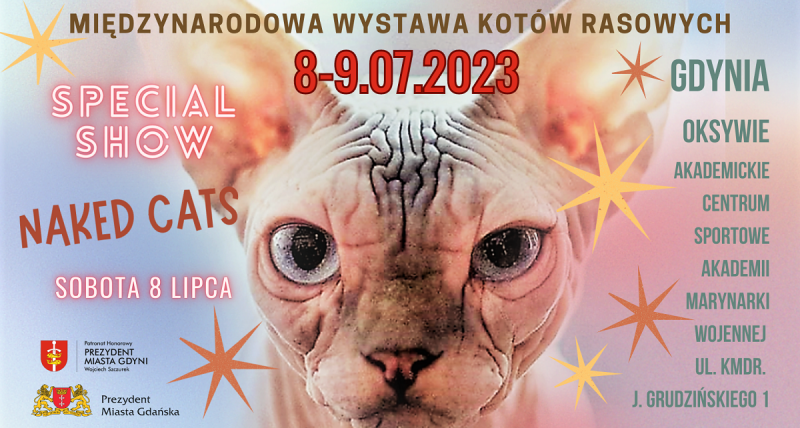 Międzynarodowa Wystawa Kotów Rasowych w Gdyni