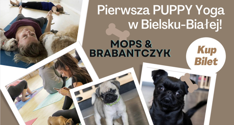 Puppy Yoga - 28.04.2024 - 13:30 - Bielsko-Biała