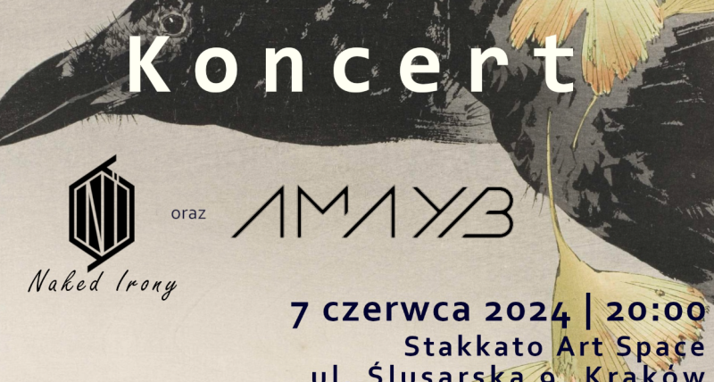 Alt Rock Night (Koncert Naked Irony & AMAYB)