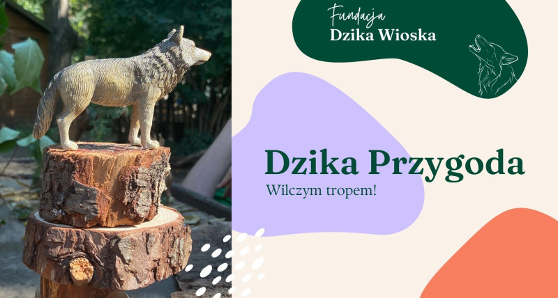 Dzika Przygoda: Wilczym tropem