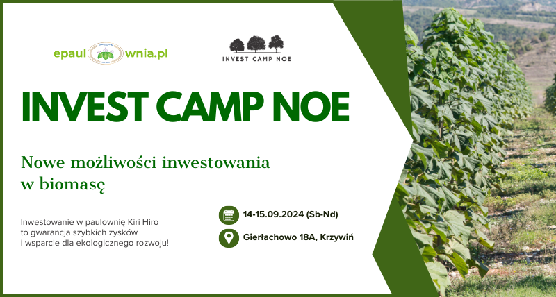 Invest Camp NOE