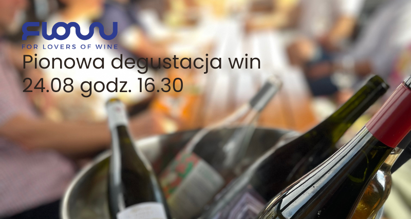 Pionowa degustacja dolnośląskich win na statku