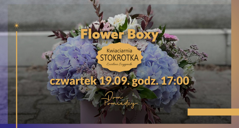 Flower Boxy ze Stokrotką