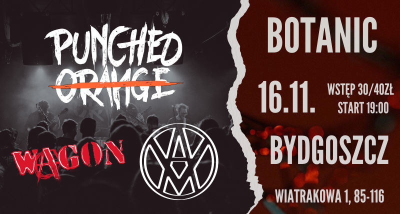 KONCERT PUNCHED ORANGE | VIOLET AMBULANCE | WAGON w BOTANIC BYDG