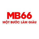 MB66 trading