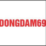 dongdam69com