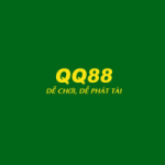 qq888dev