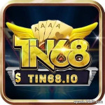 TIN68 IO