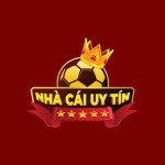 nhacaiuytinselect