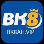 Bk8