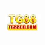 TG88