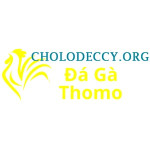 Đá Gà Trực Tiếp Thomo