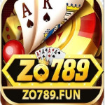Zo789 Fun