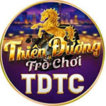 TDTC