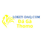 Đá Gà Trực Tiếp Thomo