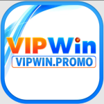 VIPWIN