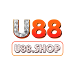 U88 localinsights