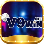 v9winnet