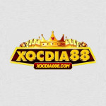 Xocdia886com