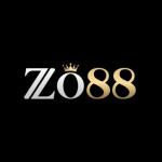 ZO88 Net