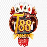 t88 diy