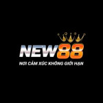 NEW88